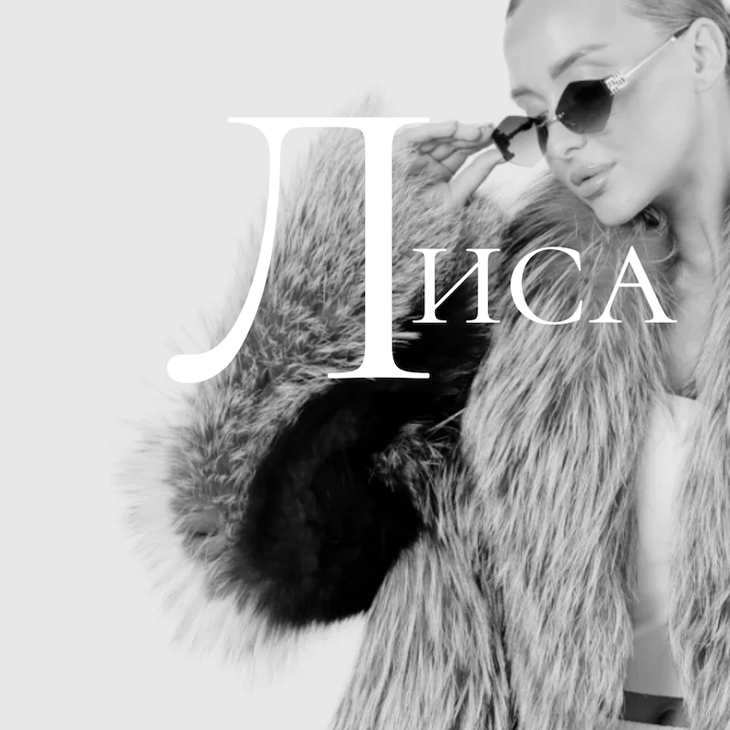 Главная Главная