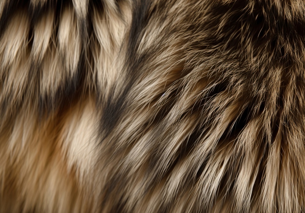 Виды натурального меха